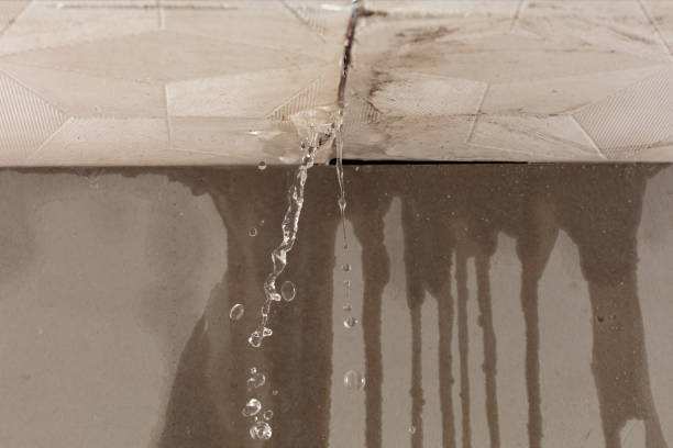 Professional Sewage Cleanup technician working in Hampton, IA